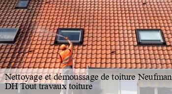 Nettoyage et démoussage de toiture  08700