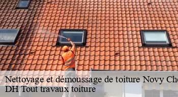 Nettoyage et démoussage de toiture 08300