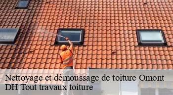 Nettoyage et démoussage de toiture 08430