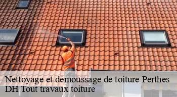 Nettoyage et démoussage de toiture  08300
