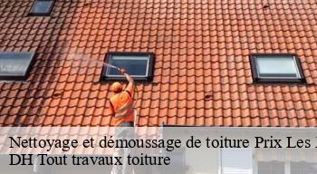 Nettoyage et démoussage de toiture  08000