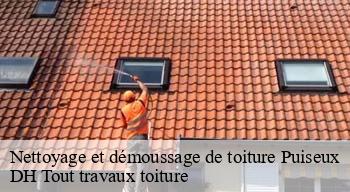 Nettoyage et démoussage de toiture 08270