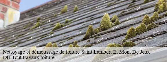 Nettoyage et démoussage de toiture  08130