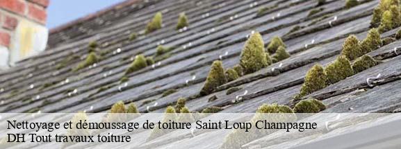 Nettoyage et démoussage de toiture  08300