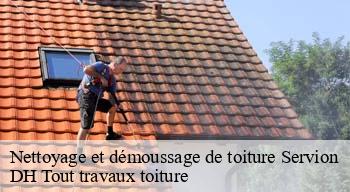 Nettoyage et démoussage de toiture  08150