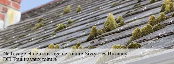 Nettoyage et démoussage de toiture  08240