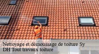 Nettoyage et démoussage de toiture  08390