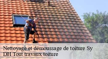 Nettoyage et démoussage de toiture  08390