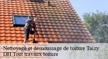 Nettoyage et démoussage de toiture  08360