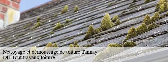 Nettoyage et démoussage de toiture  08390