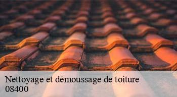 Nettoyage et démoussage de toiture 08400