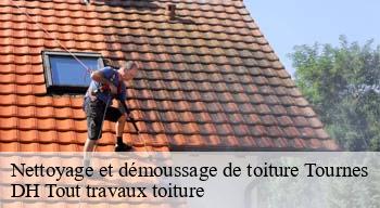 Nettoyage et démoussage de toiture 08090