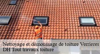 Nettoyage et démoussage de toiture 08390