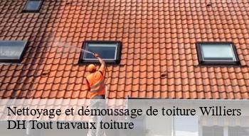 Nettoyage et démoussage de toiture  08110