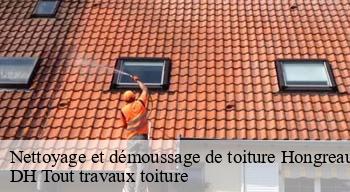 Nettoyage et démoussage de toiture 08230