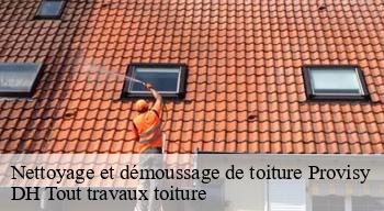 Nettoyage et démoussage de toiture  08270