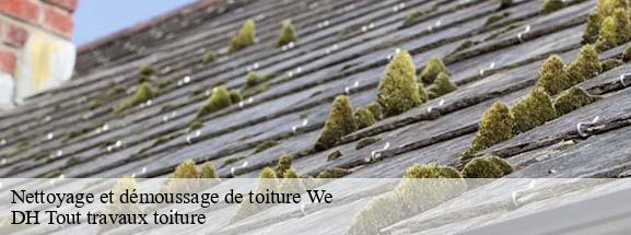 Nettoyage et démoussage de toiture  08110