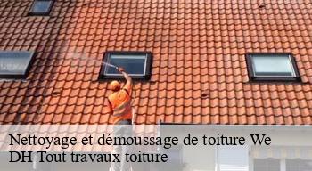 Nettoyage et démoussage de toiture  08110