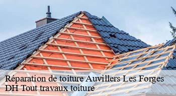 Réparation de toiture  08260