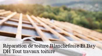 Réparation de toiture  08290