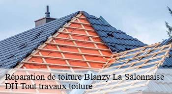 Réparation de toiture  08190