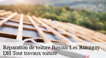 Réparation de toiture  08290