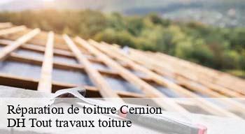 Réparation de toiture 08260