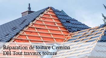 Réparation de toiture 08260