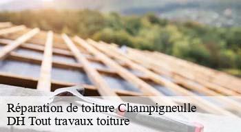 Réparation de toiture  08250