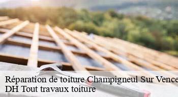 Réparation de toiture  08430