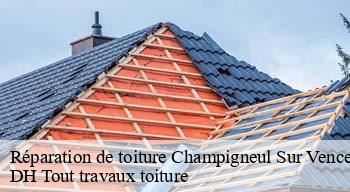 Réparation de toiture  08430