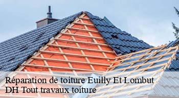 Réparation de toiture  08210