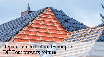 Réparation de toiture  08250