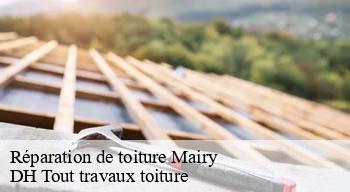 Réparation de toiture  08140