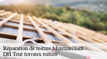 Réparation de toiture  08220