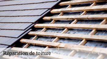 Réparation de toiture 08140