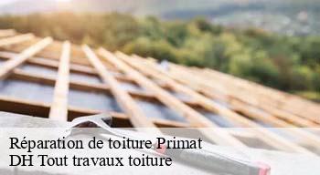 Réparation de toiture  08250