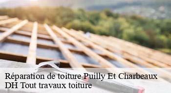 Réparation de toiture  08370