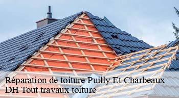 Réparation de toiture  08370