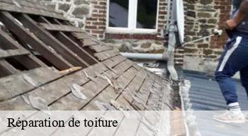 Réparation de toiture  08130