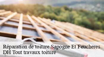 Réparation de toiture  08160