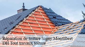 Réparation de toiture  08370