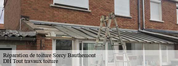 Réparation de toiture  08270