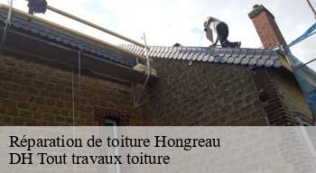 Réparation de toiture 08230