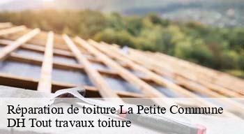 Réparation de toiture  08800