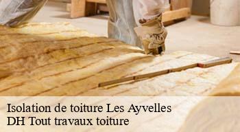 Isolation de toiture 08000