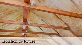 Isolation de toiture 08450