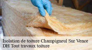 Isolation de toiture 08430