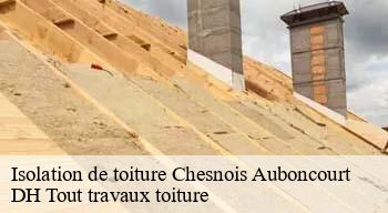 Isolation de toiture  08270