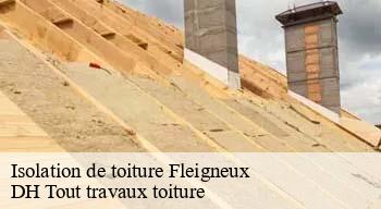 Isolation de toiture  08200